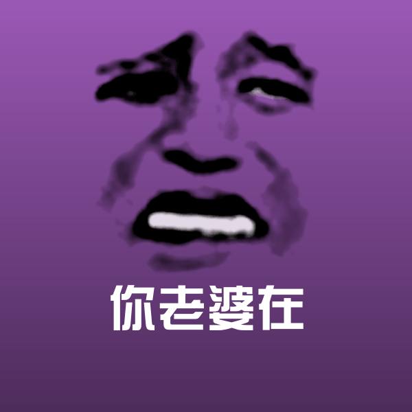 搞笑你老婆在表情 第1张