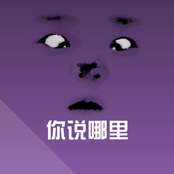 你说哪里聊天表情 第1张