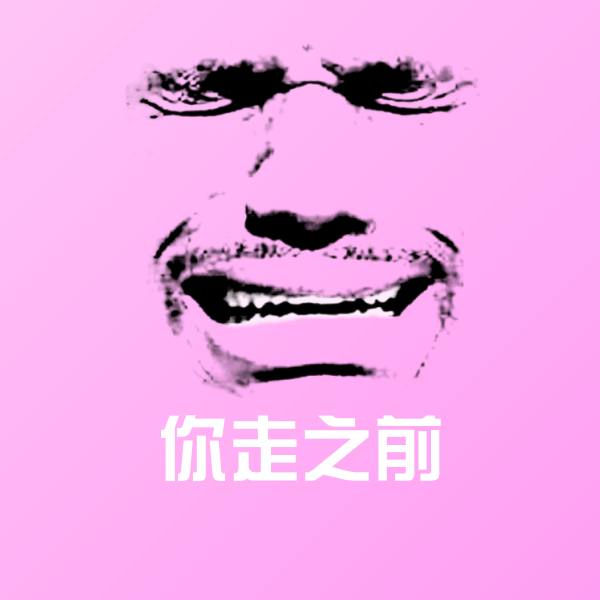 你走之前沙雕表情包