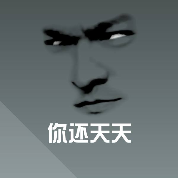你还天天斗图神器