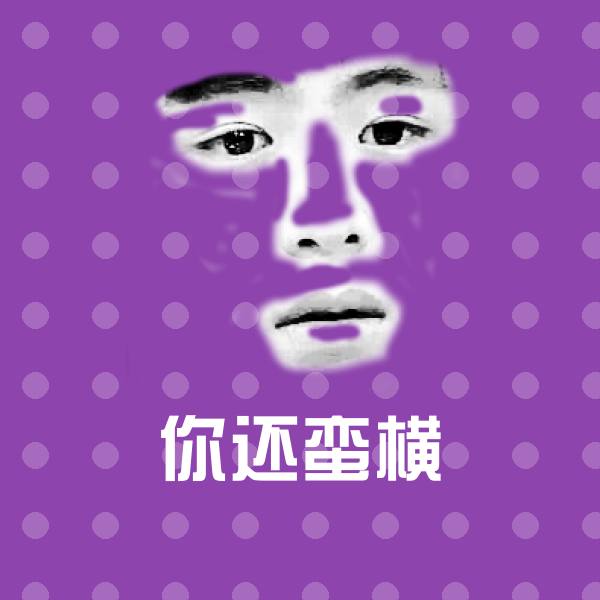 你还蛮横斗图神器