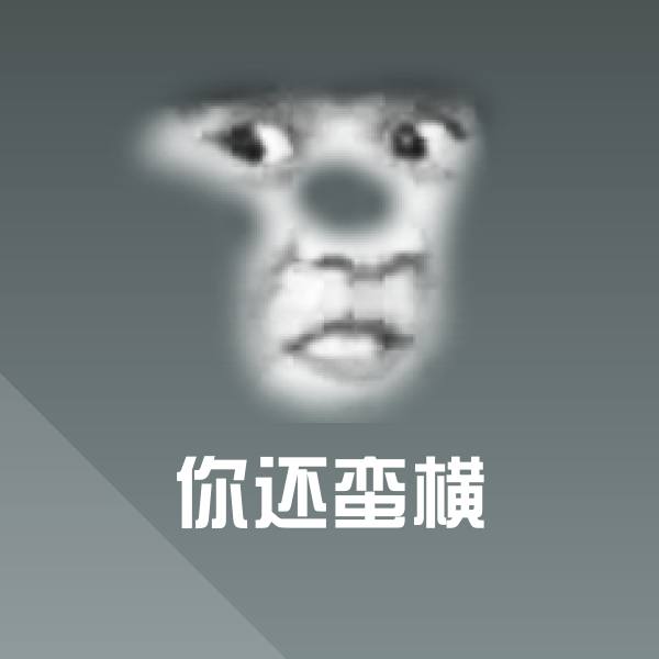 你还蛮横斗图神器
