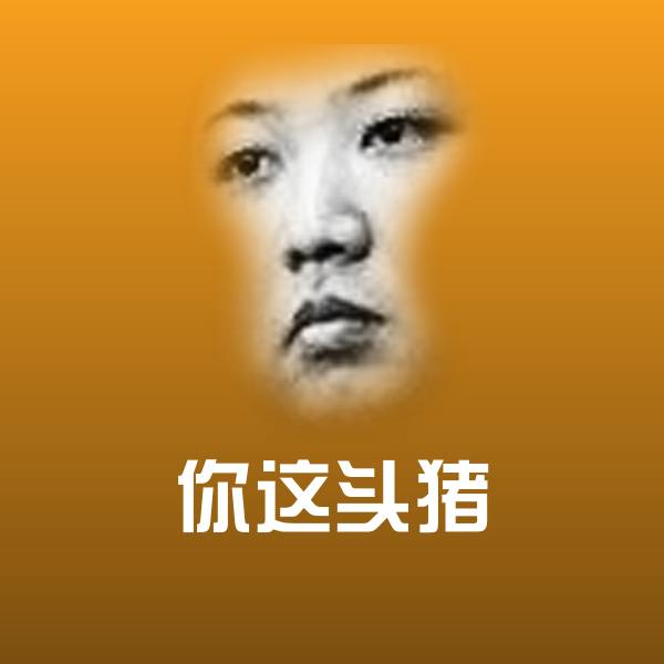 你这头猪沙雕表情包