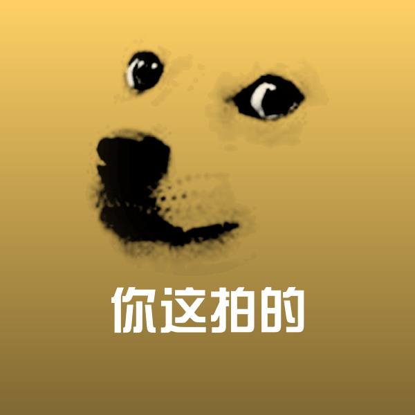 原创你这拍的表情包 第1张