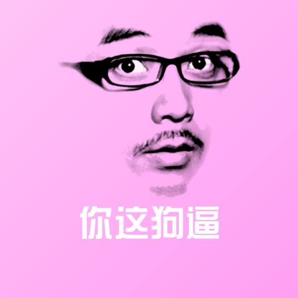 搞笑你这狗逼表情