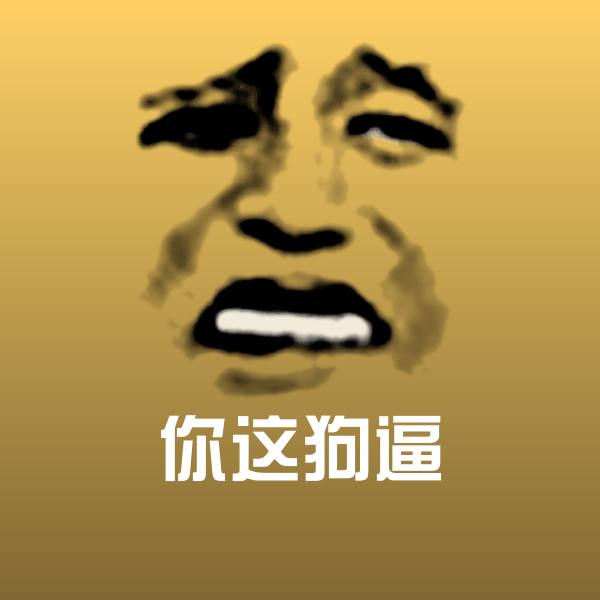 你这狗逼表情包