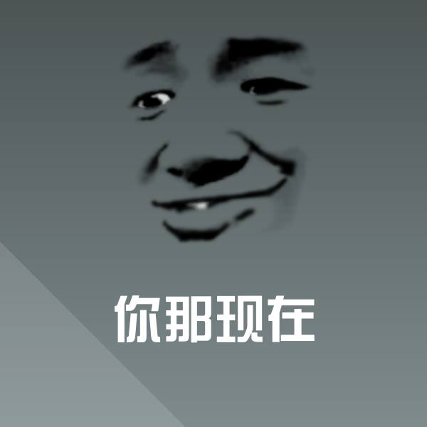 你那现在聊天表情