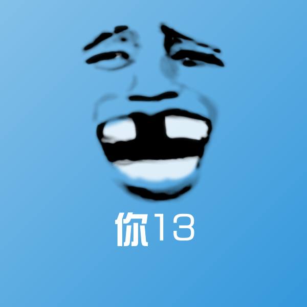 你13表情包