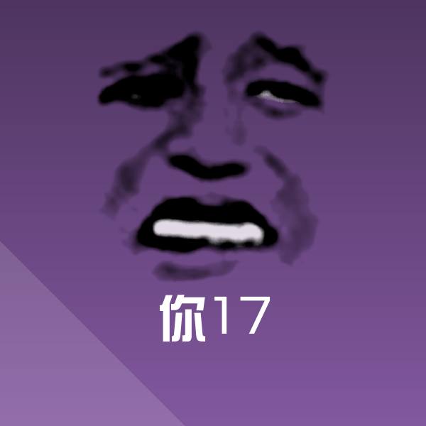 你17表情包