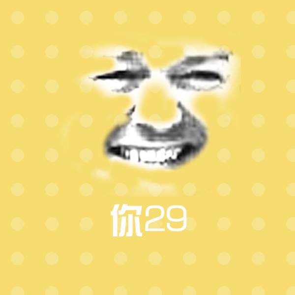 你29表情包
