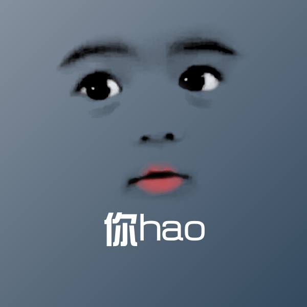 你hao表情包