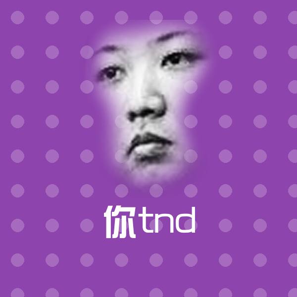 搞笑你tnd表情