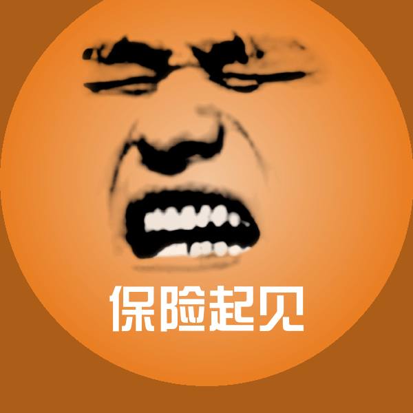 保险起见表情包