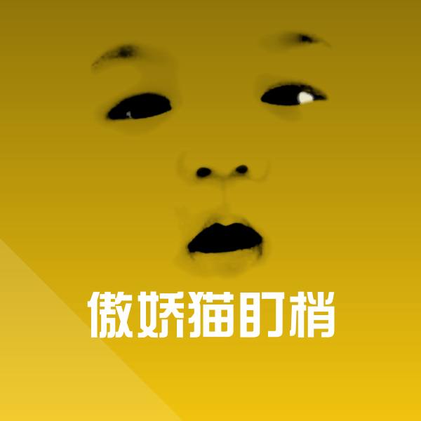 搞笑傲娇猫盯梢表情 第1张