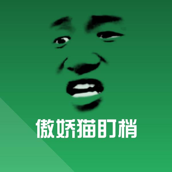 傲娇猫盯梢沙雕表情包