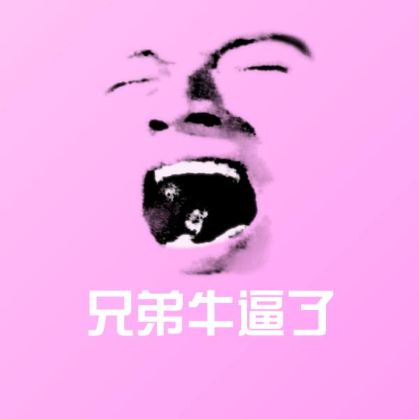 兄弟牛逼了聊天表情
