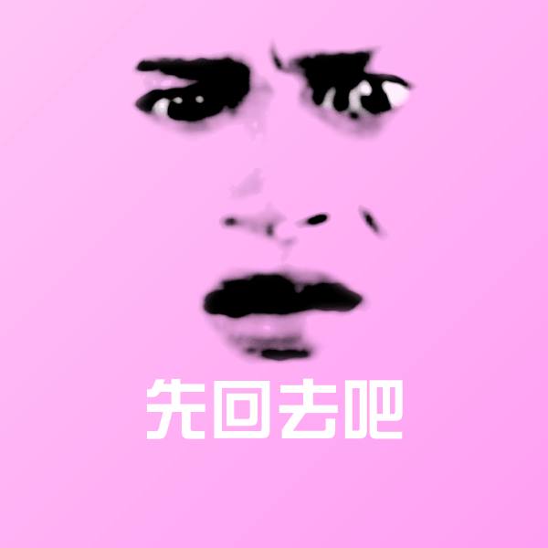 先回去吧表情包