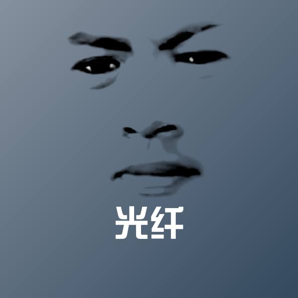 光纤微信表情包