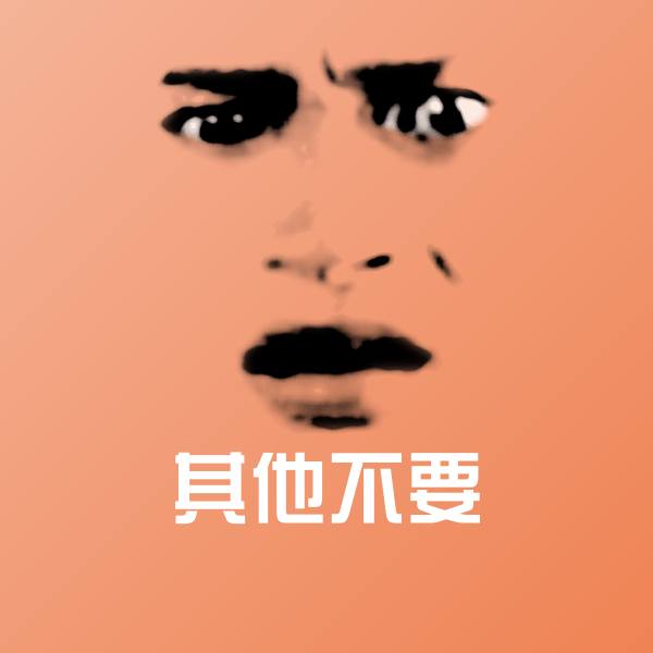 其他不要聊天表情
