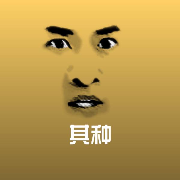 其种表情包
