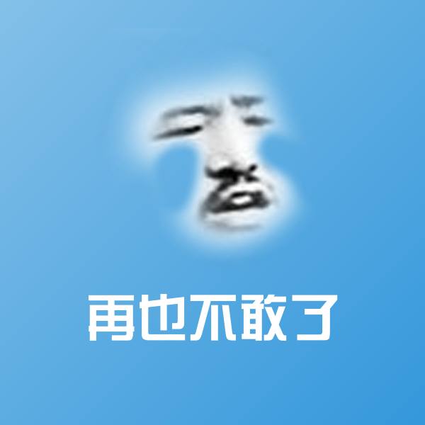 再也不敢了表情包