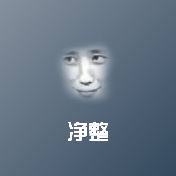 净整聊天表情