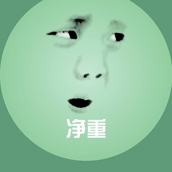 净重聊天表情