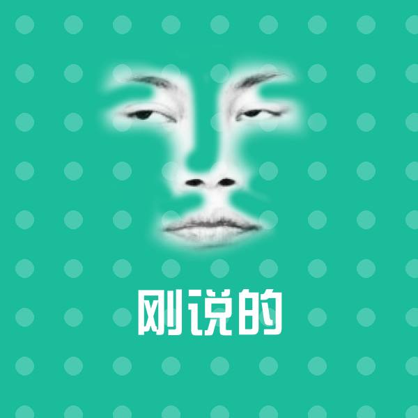 刚说的表情包