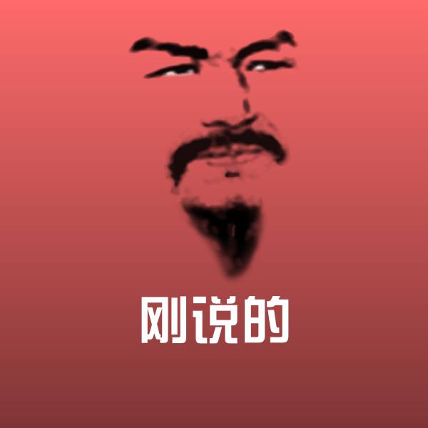 刚说的表情包