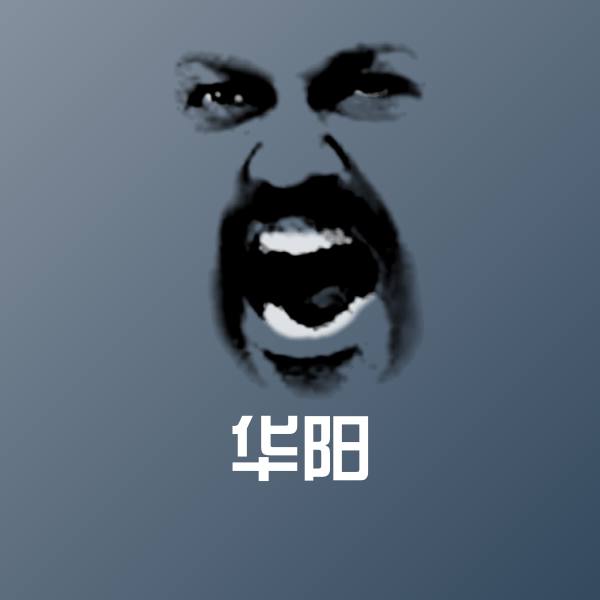 华阳表情包