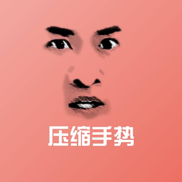 搞笑压缩手势表情
