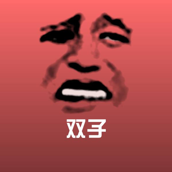 双子斗图图片