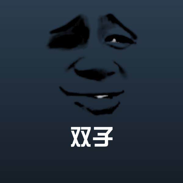 双子斗图图片