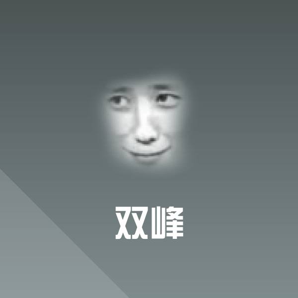 双峰聊天表情 第1张