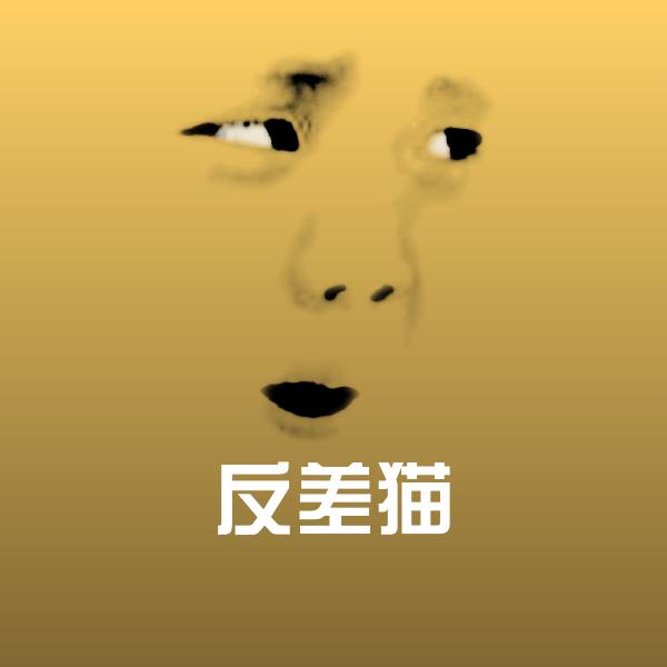 反差猫表情包