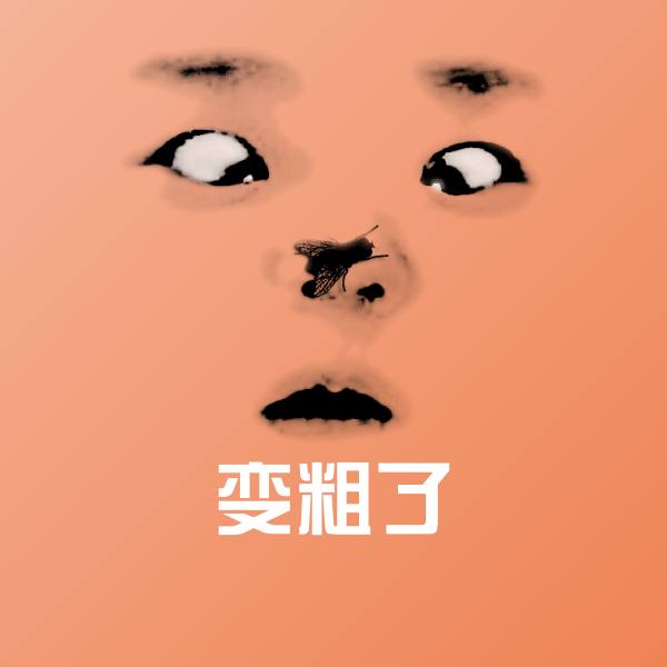 变粗了沙雕表情包