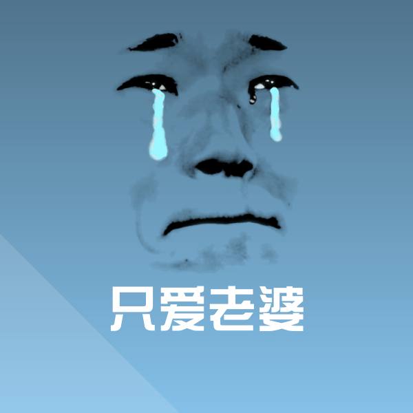 只爱老婆聊天表情