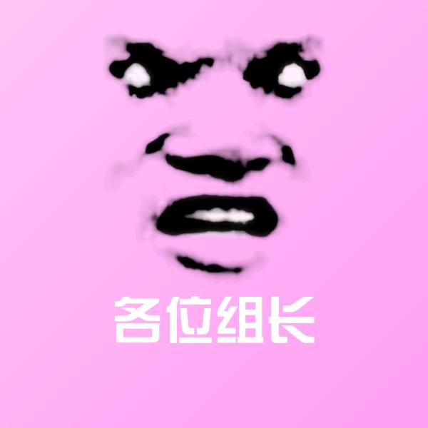 各位组长表情包