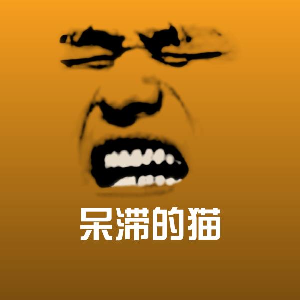 搞笑呆滞的猫表情