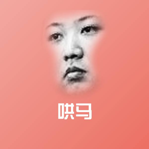 哄马聊天表情