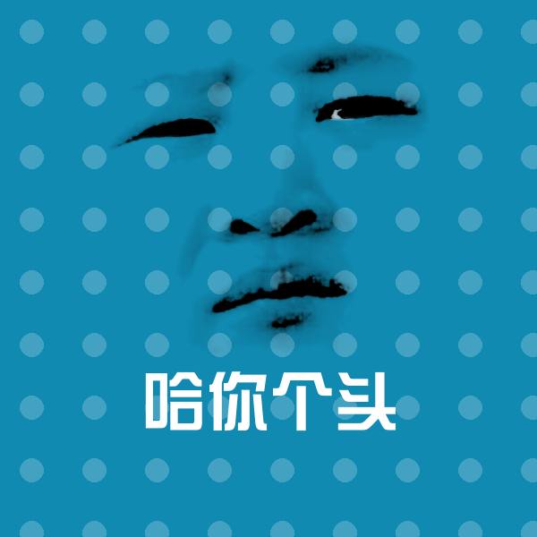 高清哈你个头表情图片