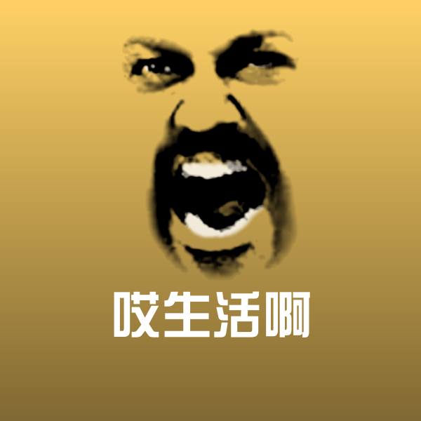 哎生活啊斗图神器