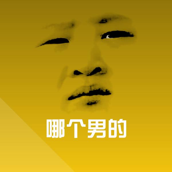 哪个男的斗图图片 第1张