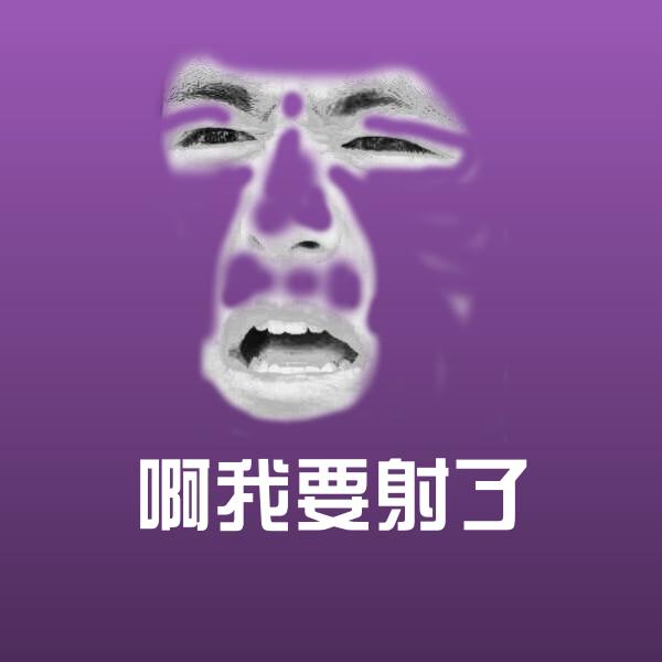 啊我要射了斗图图片