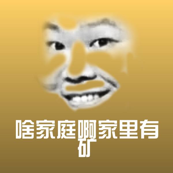 搞笑啥家庭啊家里有矿表情