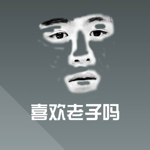 喜欢老子吗表情包