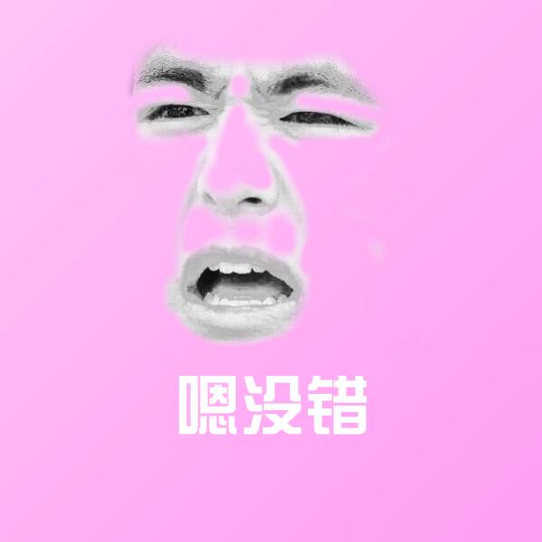 搞笑嗯没错表情