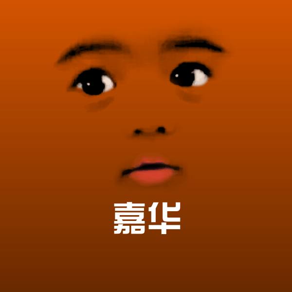 嘉华斗图神器