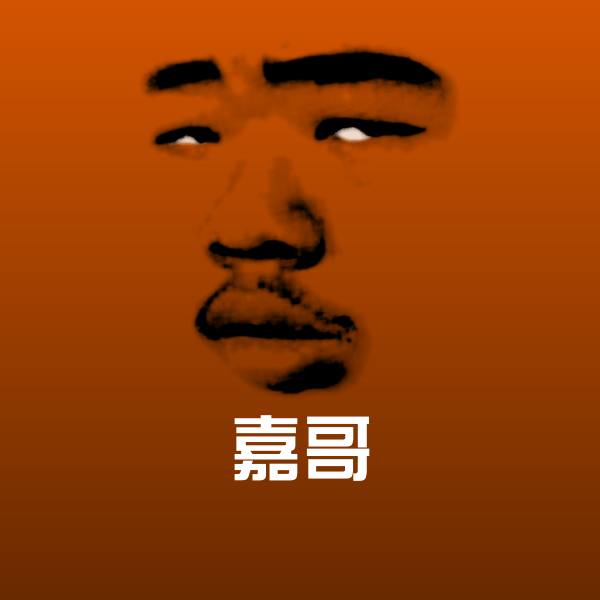 嘉哥表情包