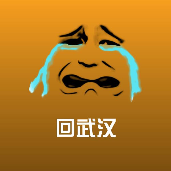 回武汉表情包